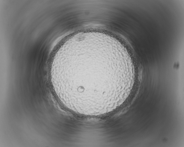 X0000114071117200911161146