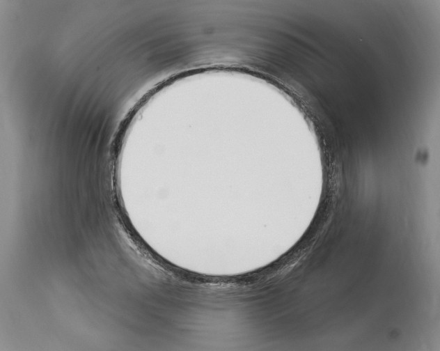 X0000114071118200911161146