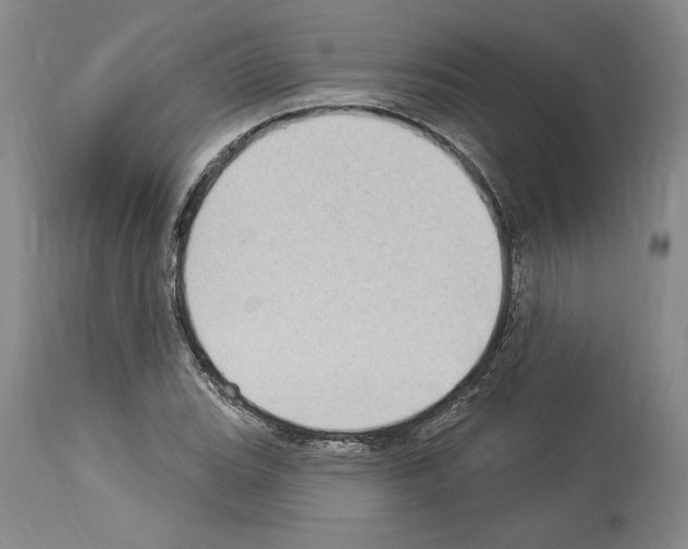 X0000114071119200911161146