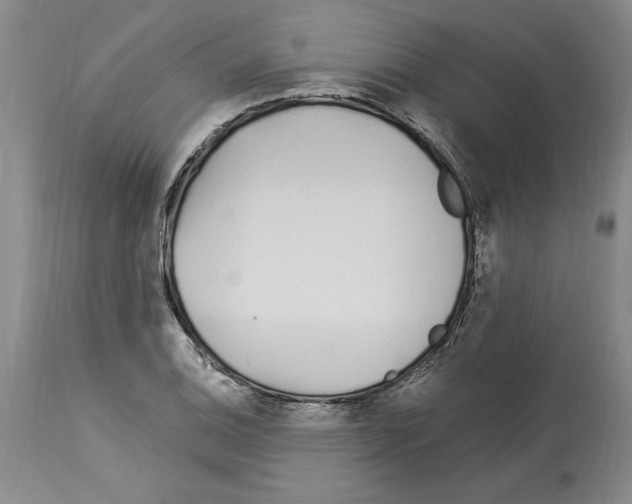 X0000114071124200911161146