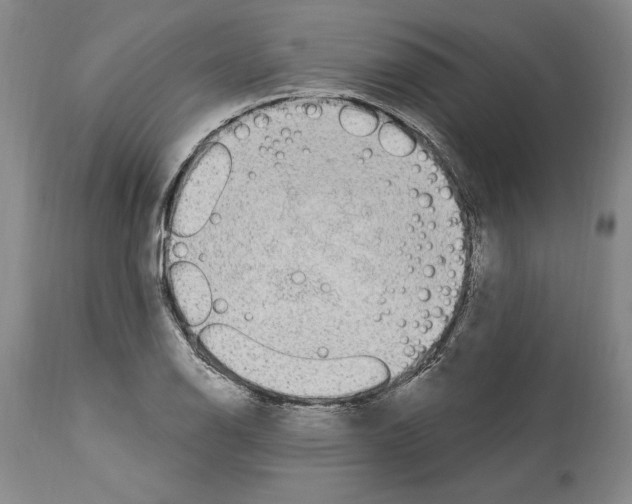 X0000114071126200911161146