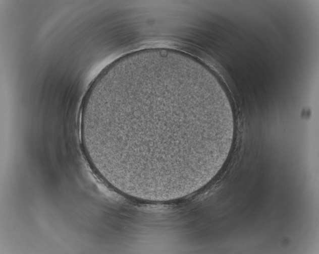 X0000114071127200911161146