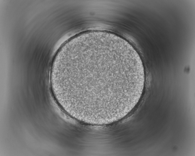 X0000114071130200911161146