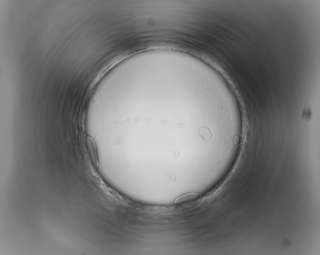 X0000114071145200911161146