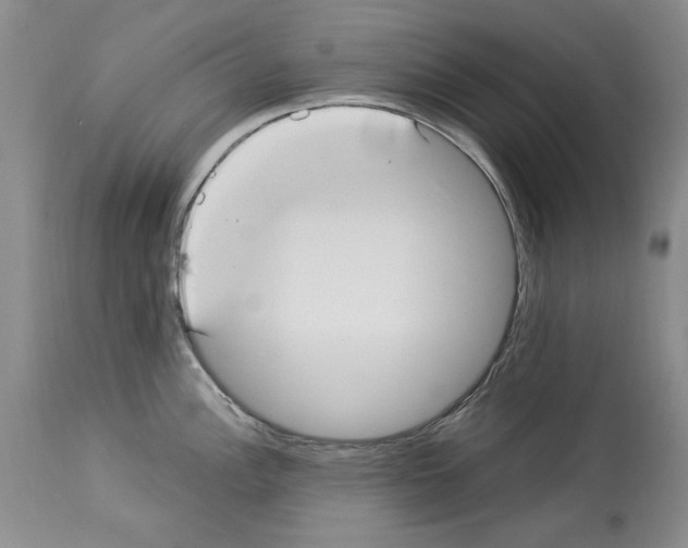 X0000114071148200911161146