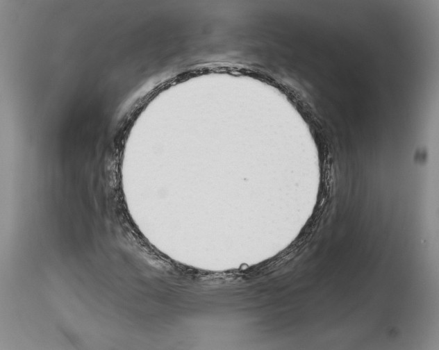 X0000114071159200911161145