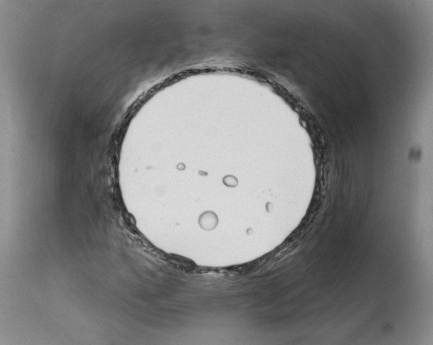 X0000114071160200911161145