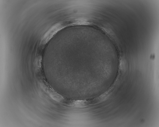 X0000114071161200911161145