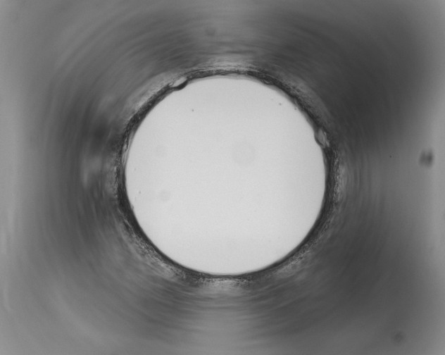 X0000114071162200911161145