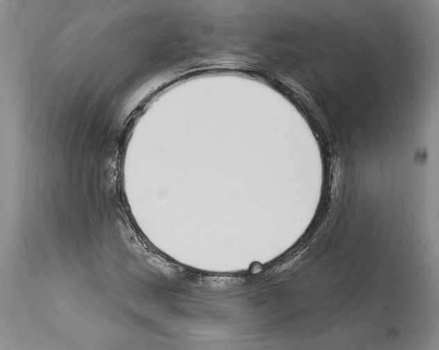 X0000114071163200911161145