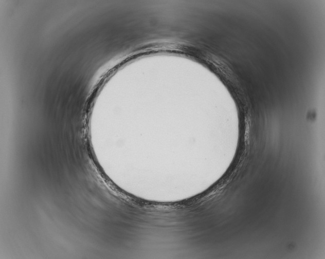 X0000114071164200911161145