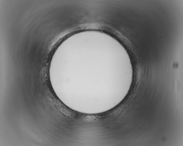 X0000114071166200911161145