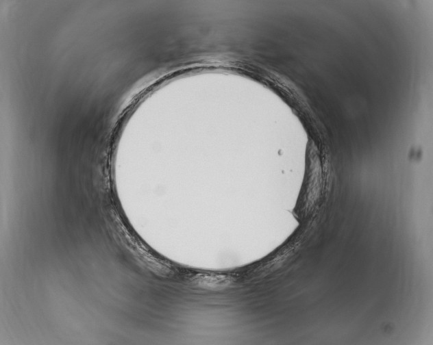 X0000114071168200911161145