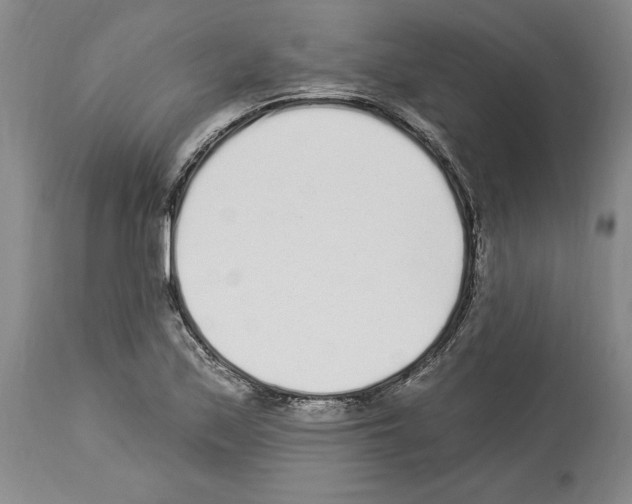 X0000114071171200911161145