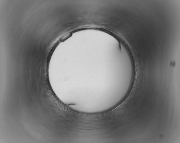 X0000114071173200911161145