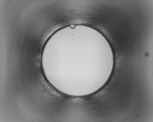 X0000114071178200911161145