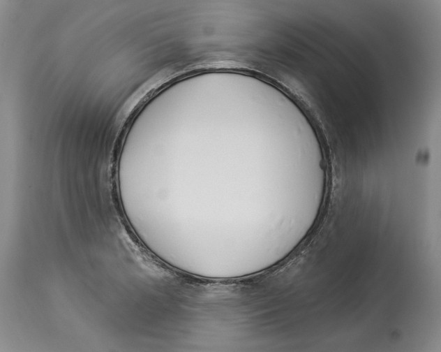 X0000114071181200911161145