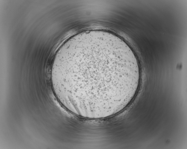 X0000114071185200911161145