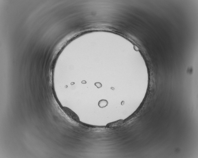 X0000114071188200911161145