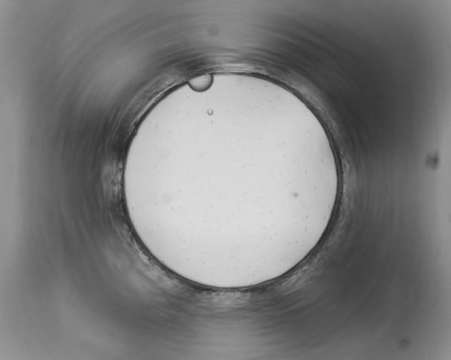 X0000114071193200911161145