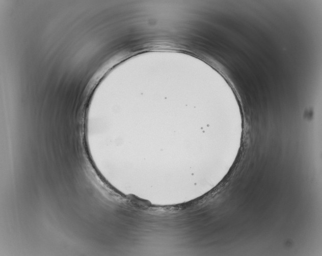 X0000114071195200911161145