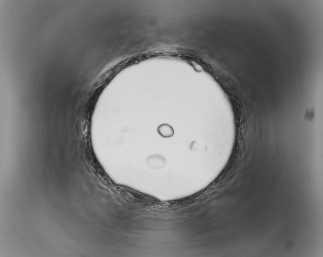 X0000114071206200911161144