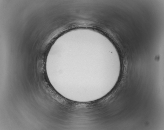 X0000114071211200911161144