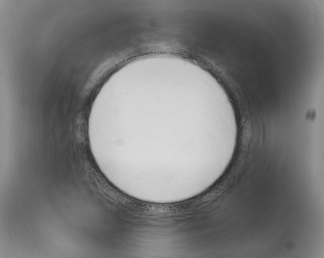 X0000114071215200911161144