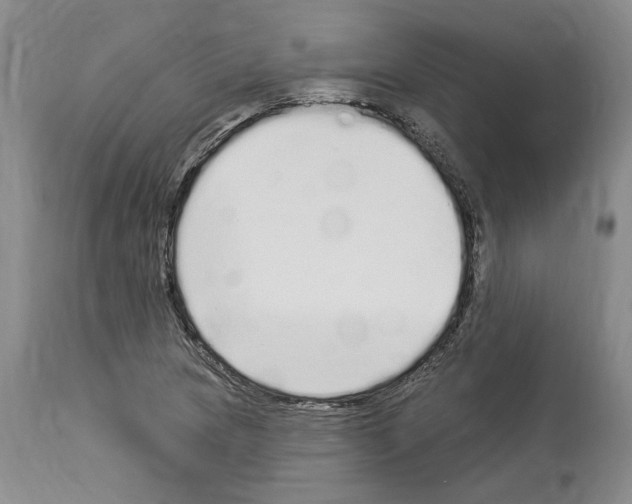 X0000114071217200911161144