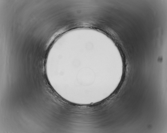 X0000114071218200911161144