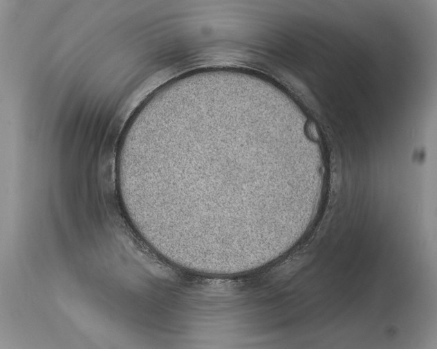 X0000114071226200911161144