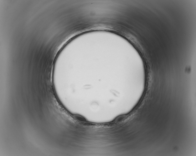 X0000114071228200911161144