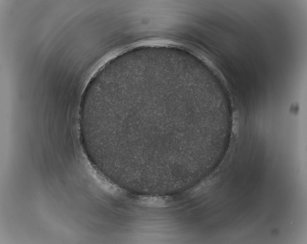 X0000114071229200911161144