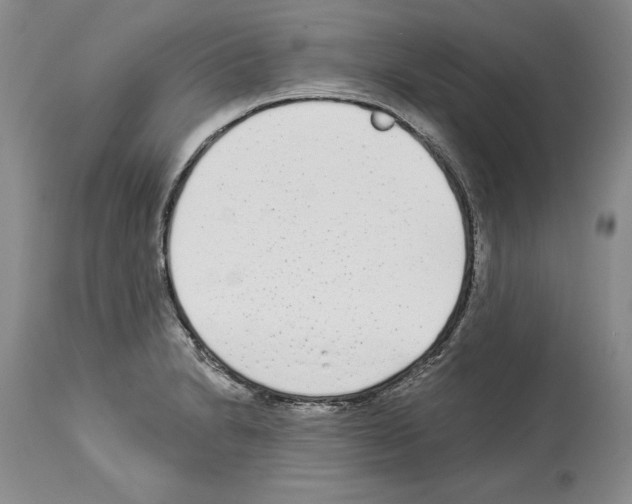 X0000114071230200911161144