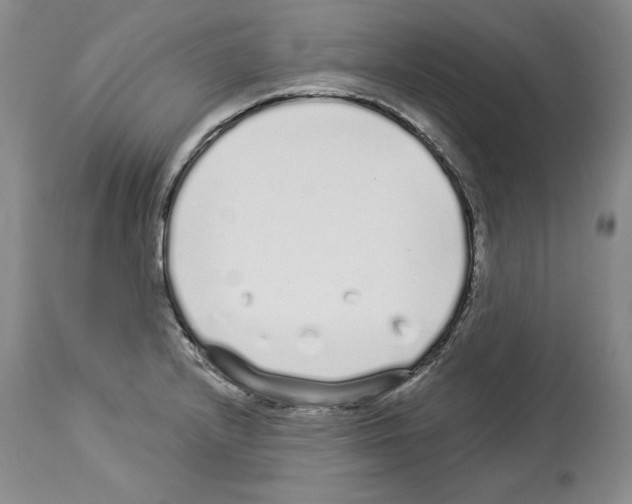 X0000114071232200911161144