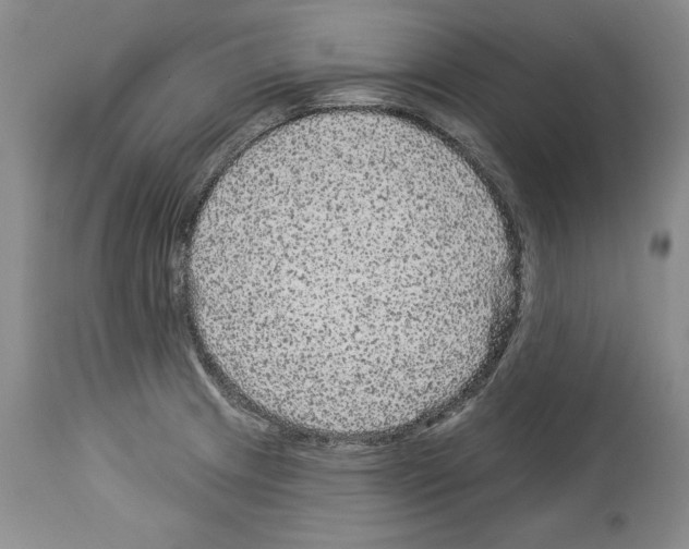 X0000114071233200911161144