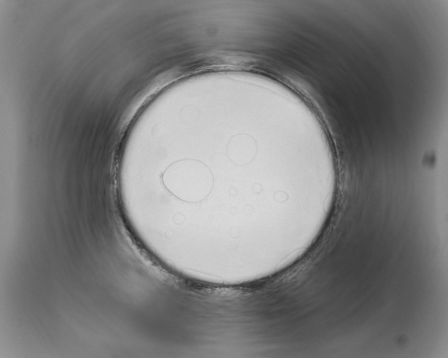 X0000114071235200911161144