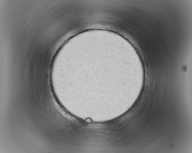 X0000114071237200911161144