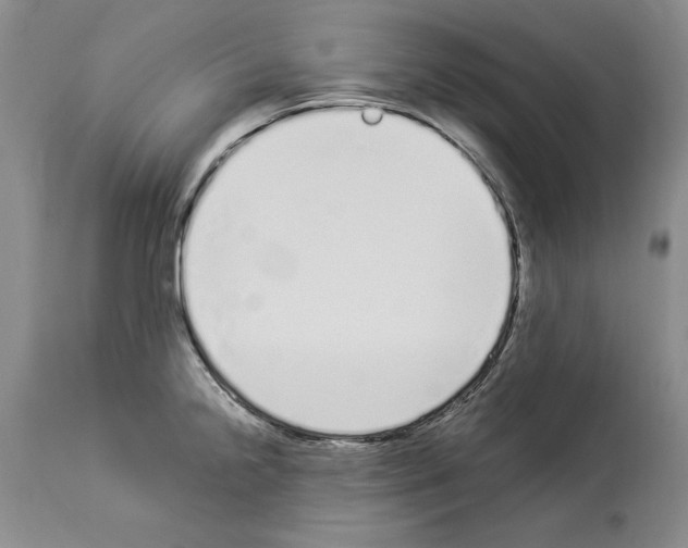 X0000114071238200911161144