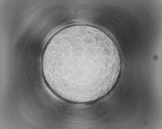 X0000114071239200911161144