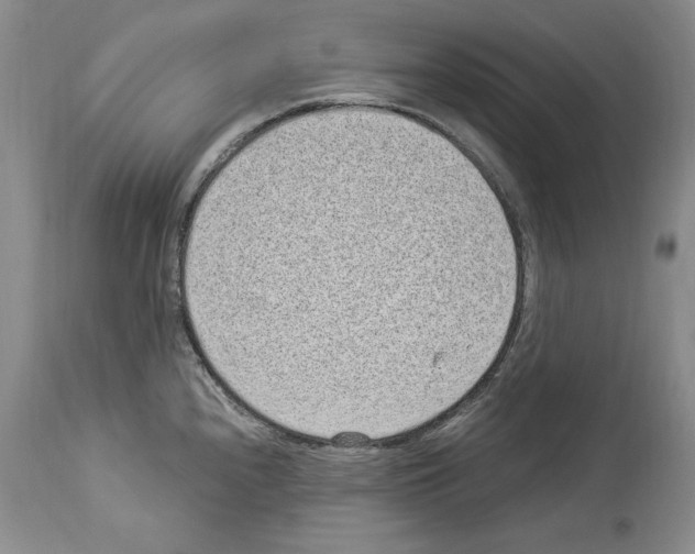 X0000114071240200911161144