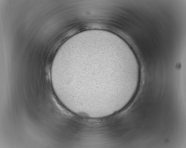 X0000114071241200911161144