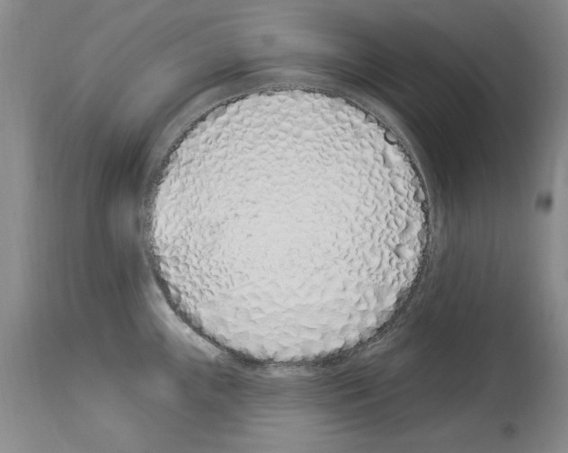 X0000114071243200911161145