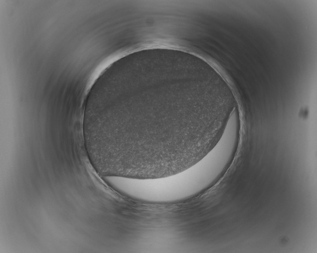 X0000114071246200911161145