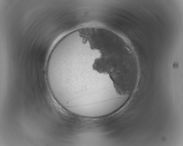 X0000114071248200911161145