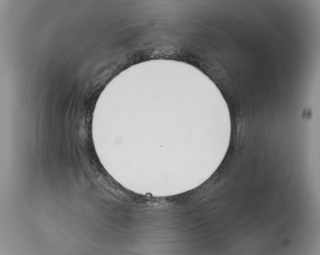 X0000114071250200911161144