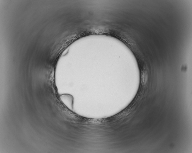 X0000114071251200911161144