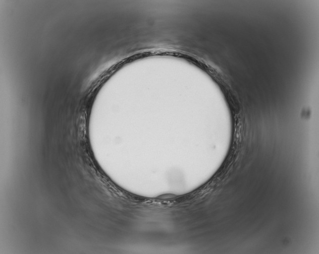 X0000114071255200911161144