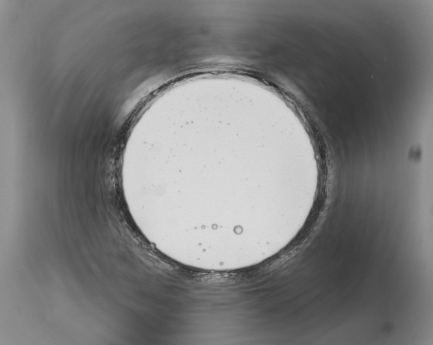 X0000114071259200911161144