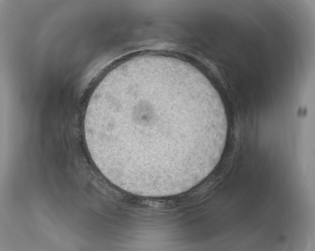 X0000114071263200911161144